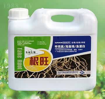 �����B(y��ng)����-�������أ�-�|������