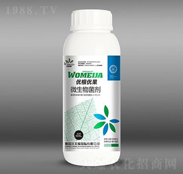 ΢�������-��(y��u)����(y��u)��-������