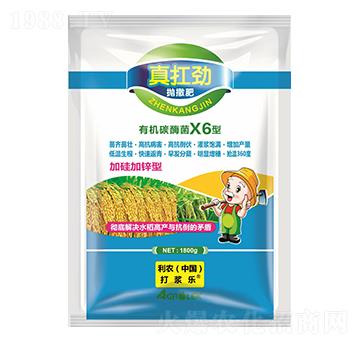 �ЙC(j��)̼ù��X6�ͣ������ʣ�-�濸��-�L(zh��ng)�S����