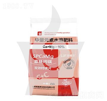 �����}�V-ʩ��S-���ηʘI(y��)