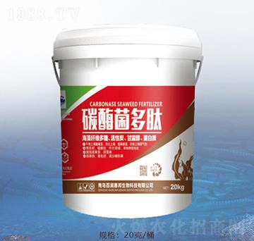 ̼ø������-�ٝ�(r��n)�ݰ�