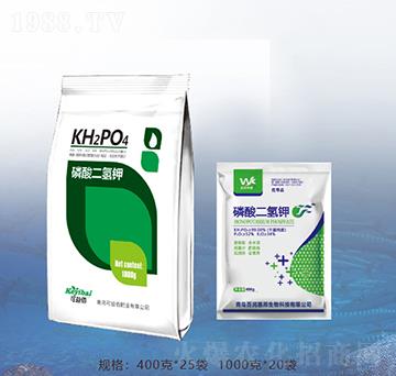 �������⛣�����-�ٝ��ݰ�