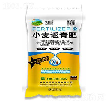 С�������-������