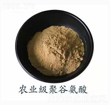 �r(n��ng)�I(y��)�۹Ȱ��ᣨ�r(n��ng)�I(y��)����-�������