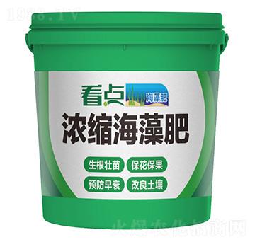 ��s�����-���c(di��n)