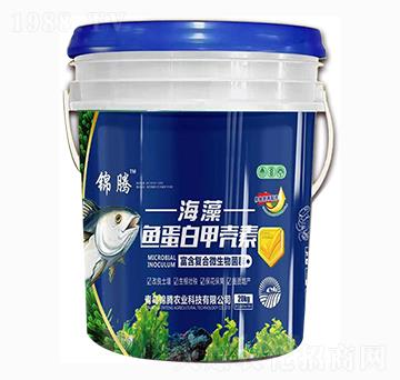 �����~���׼ך���-�\�v�r(n��ng)�I(y��)