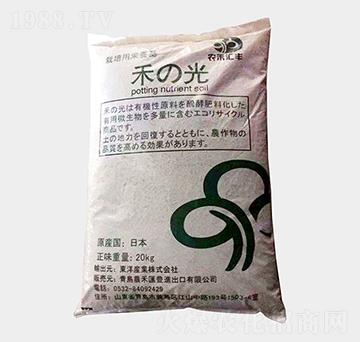 �������-�̹�-�Z������