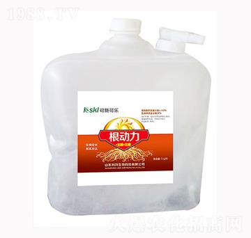 ����(d��ng)��-��������