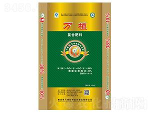 �\�����LЧ�͏�(f��)�Ϸ���2