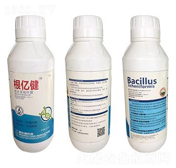 ����ѿ�ߗU��-���|��-�|�r(n��ng)�߿�