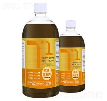 棉花整枝增桃活性劑-棉株美形液-諾思達(dá)