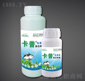 ����������ø���~����-�G�����