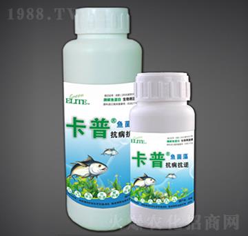 ����������ø���~����-�G�����