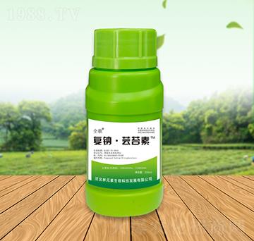 ȫ���(f��)�c���|̦��-��Ԫ��