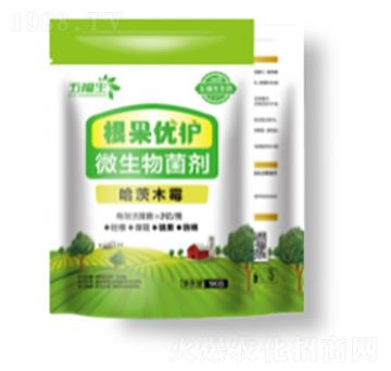 ΢�������-������(y��u)�o-�帣��