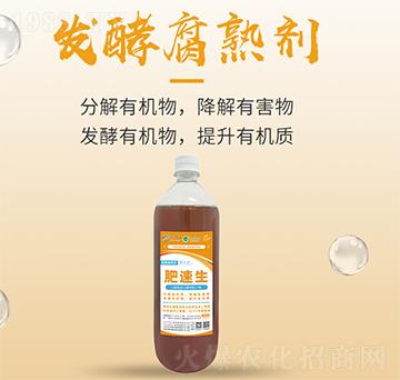 �l(f��)�͸��섩-������-���S����