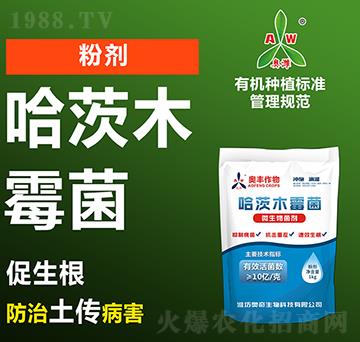 ����ľù��-�W�S