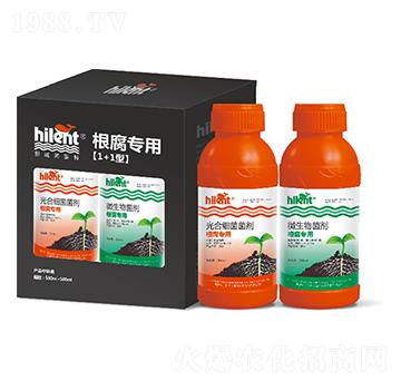 �������á�1+1�͡�-���{��