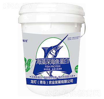 ������~����-ֲ�^-�����r(n��ng)�I(y��)