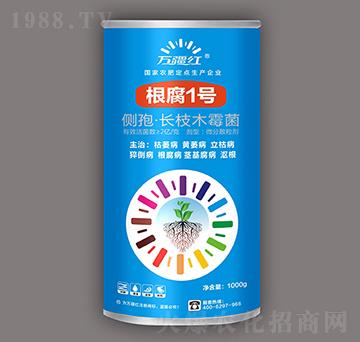 ���������Ŀ���-����1̖-�f���t