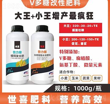 �����ھ�ጏͺϷ�-��ϲ