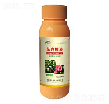 ������Һ-�ݠ��S����