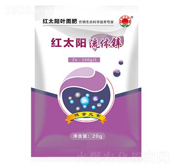 ���w�\������-�t̫�(y��ng)-