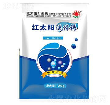 ���w�}-�t̫�(y��ng)-�ư���