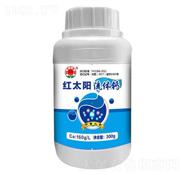 ���w�}��ƿ��-�t̫�(y��ng)-