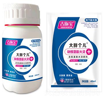 塊根莖膨大靈-大胖個兒-吉裕農(nóng)化