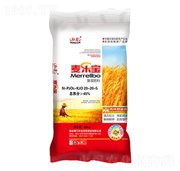 ��(f��)�����20-20-5-������-����-����r(n��ng)