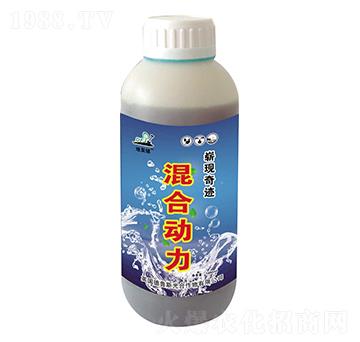 ��τ���-�؏�(f��)��