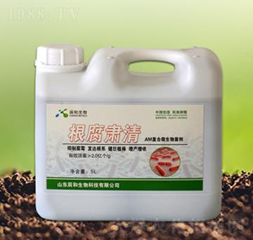 �����C��-��������