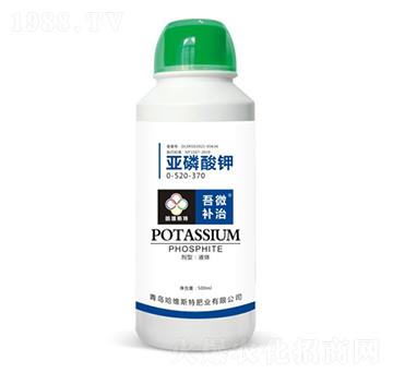 �������0-520-370-��΢�a(b��)��-���S˹�طʘI(y��)