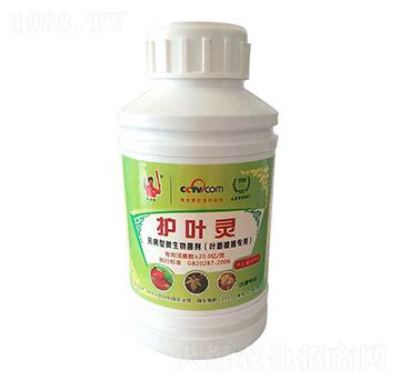 ������΢�������-�o(h��)�~�`-��M��