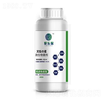 ����������΢�������-�ۘ���-�����