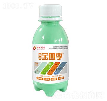 ������ļ�-�������