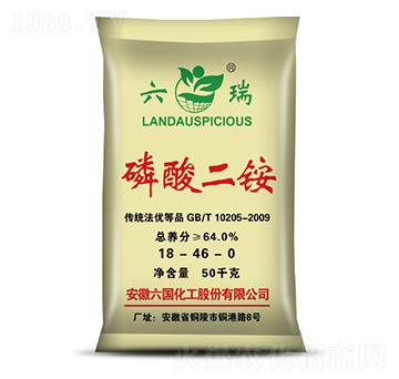 ������@-����-��������