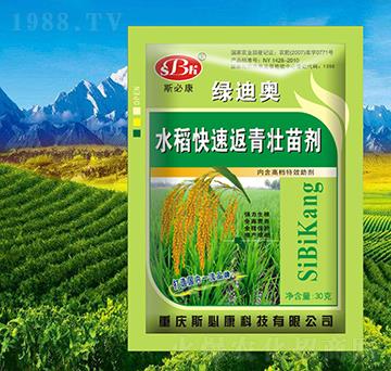 水稻快速返青壯苗劑-綠迪奧-斯必康