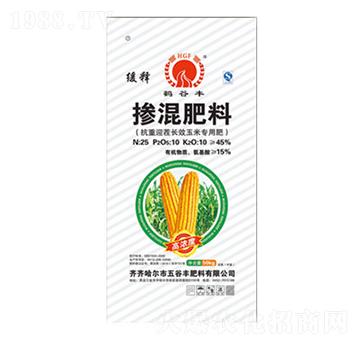 ���׌��Ó������25-10-10-����S