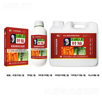 �}������������L(zh��ng)ЧҺ��-�~�N-�»�