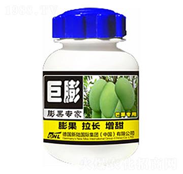 â���������-����-�»�