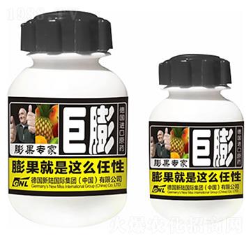 蘋果膨果專家-巨膨-德化