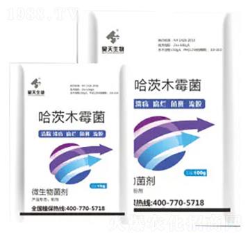 ����ľù��-�������