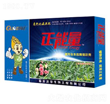 ������ľ�����������L�������ф�-������