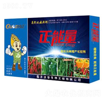 辣椒專用控旺抗病增產(chǎn)化控劑-正能量