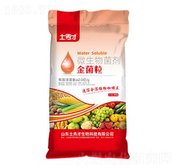 ΢�������-�����-�����