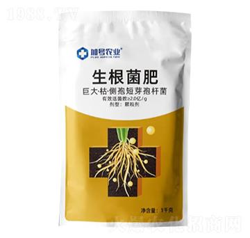 巨大·枯·側孢短芽孢桿菌-生根菌肥-加號農(nóng)業(yè)