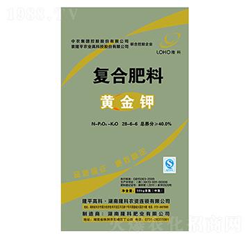 ¡���ƏͺϷ�28-6-6-¡���r(n��ng)�Y