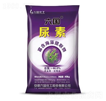 ����-�~�����F